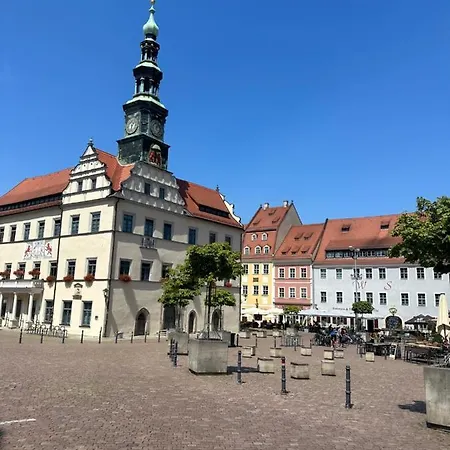 Goldigeferienwohnung 